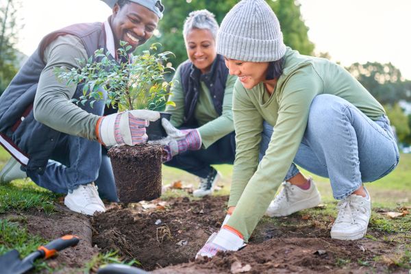 Community Action Day